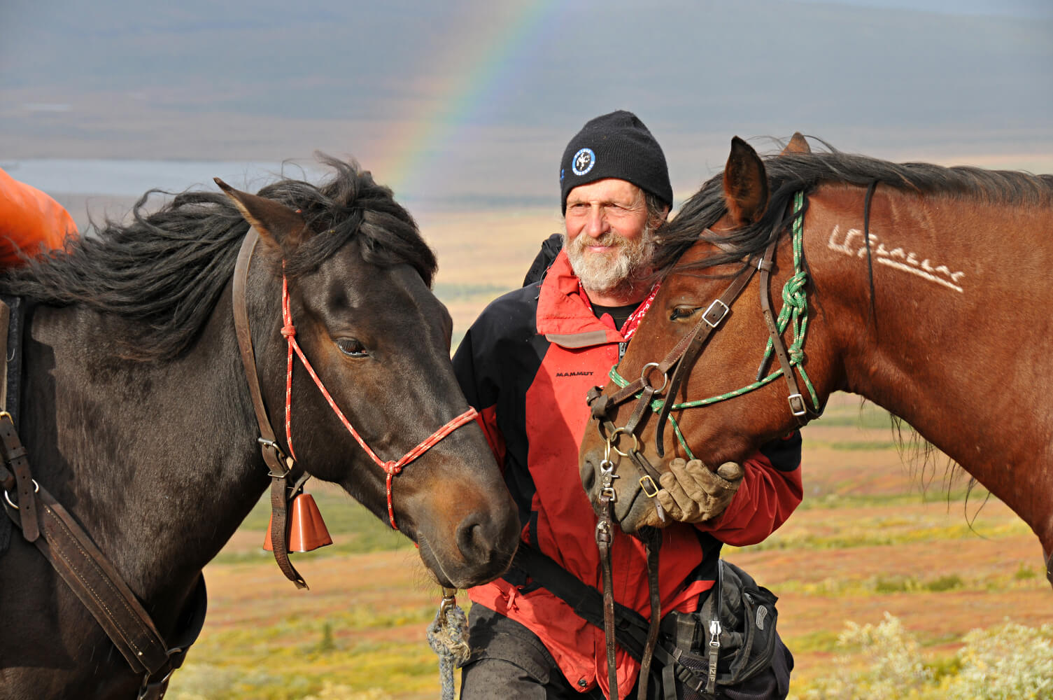 Günter Wamser mit Pferden